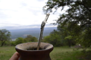 The Traditional Drinks of Buenos Aires: How and Where to Enjoy Them