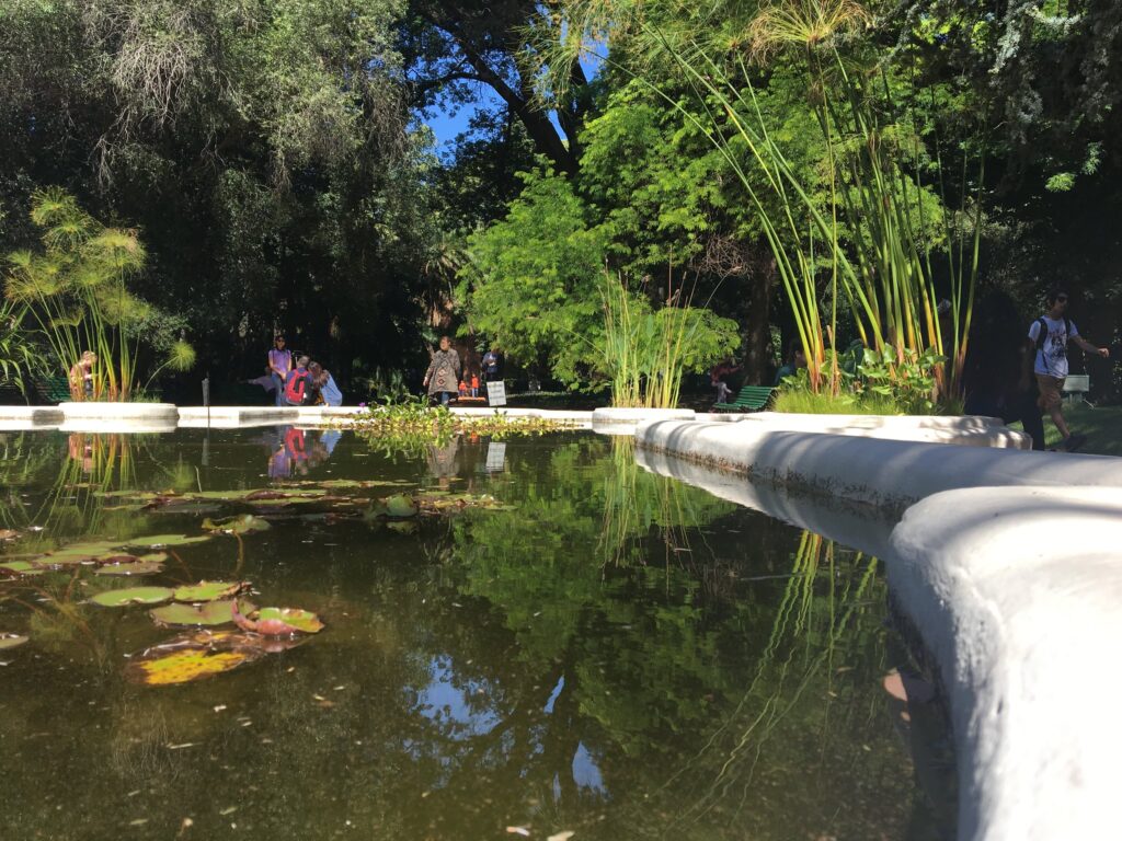 A fountain in the core of the Botanical Garden in Palermo, Buenos Aires.