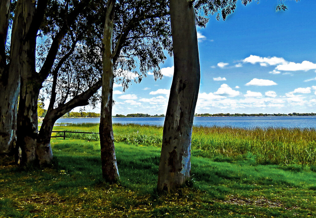 Laguna de Monte, San Miguel del Monte.